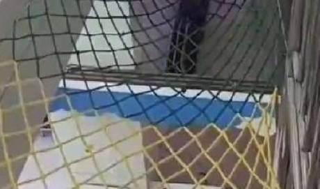 济宁万象汇坠亡女孩后续：商场已安装防护网