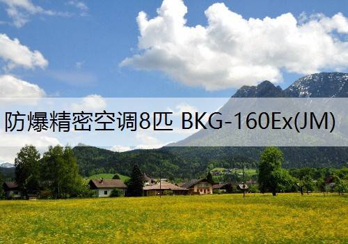 英腾 防爆精密空调8匹 BKG-160Ex(JM)