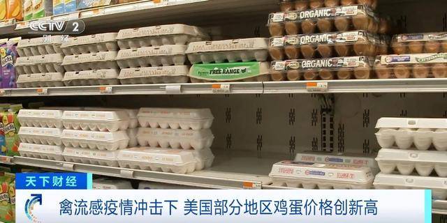 美国多地鸡蛋大幅涨价，一颗鸡蛋5块多人民币
