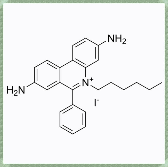避坑指南：Ethidium Iodide 碘化乙啶(HI)的常见误区与纠正