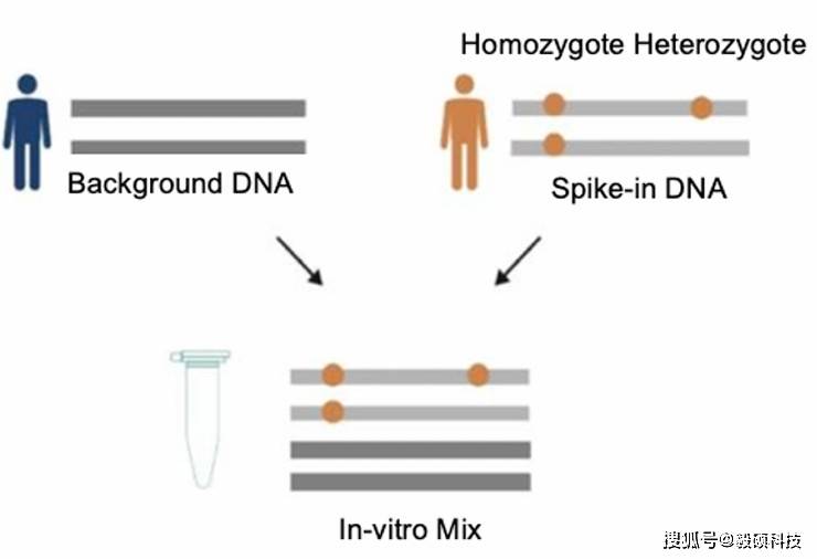 Sentieon 文献解读-使用 Sentieon ctDNA 分析管道高精度、高效地处理 UMI 数据集