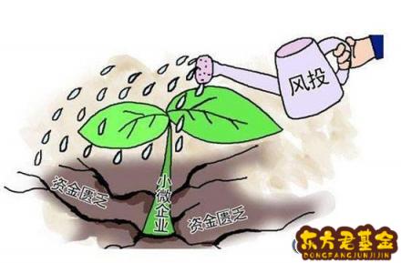 理财红利(理财红利再投和现金分红哪个更好)