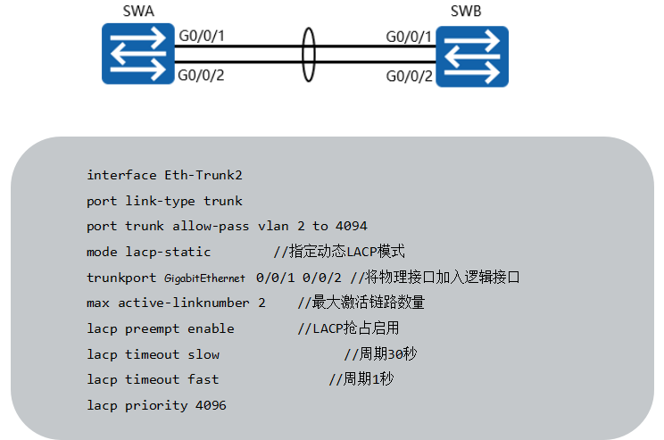 ethtrunk(ethtrunk怎么读)