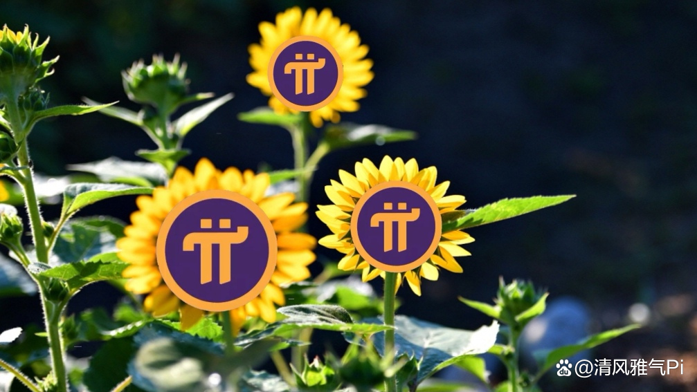 pi(脾虚的表现和症状)