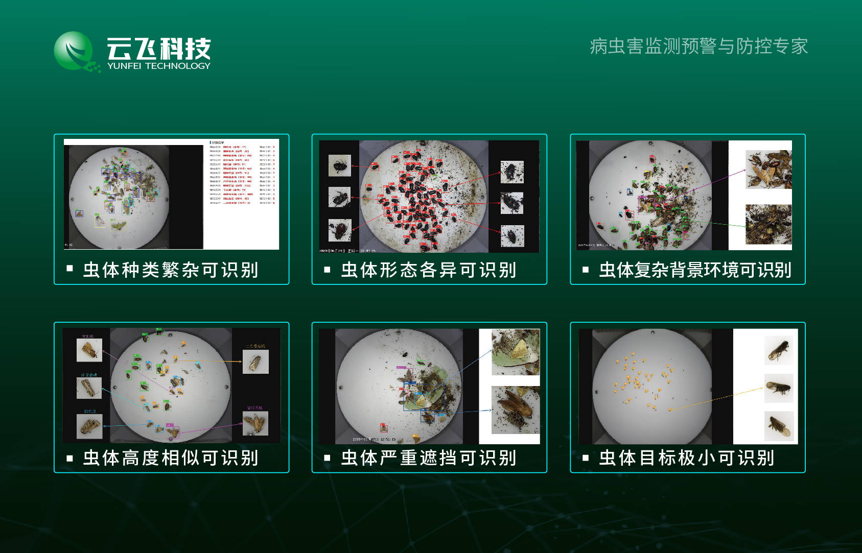 物联网(物联网流量卡)