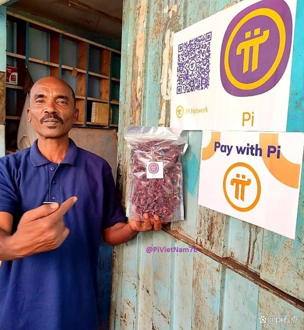 pi(琵琶行)