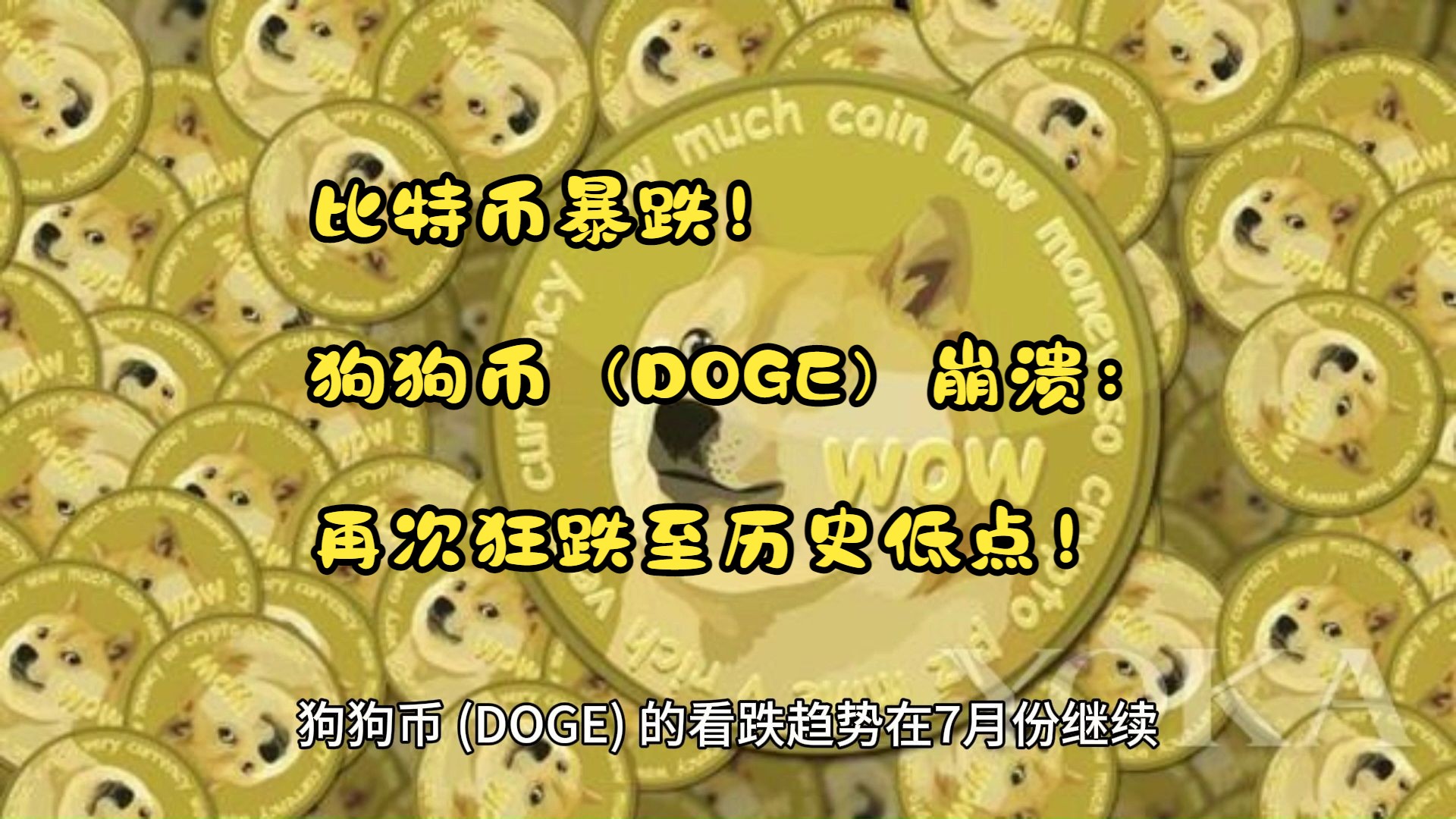 doge什么币(doges这是什么币)