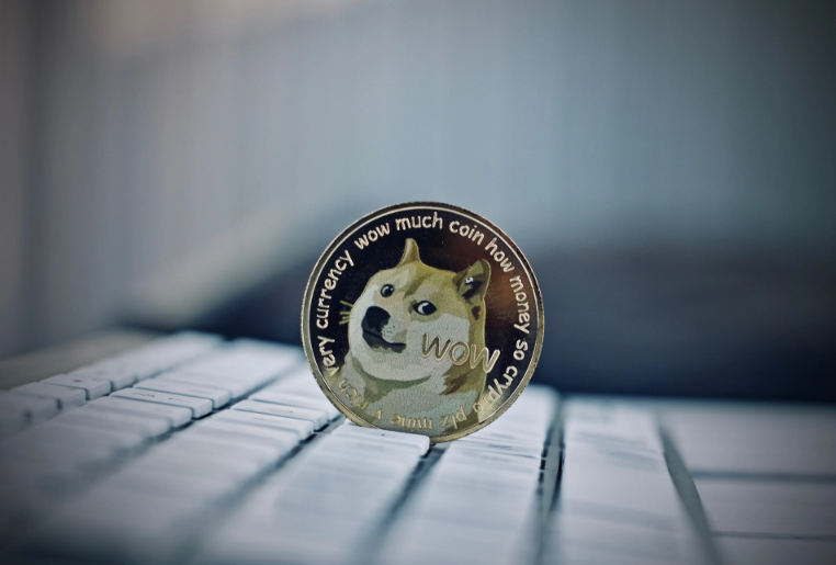 最新发行doge币(dogecoin币最新价格)