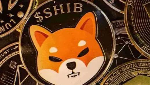 doge币和屎币(狗狗币和屎币哪个值得投资)