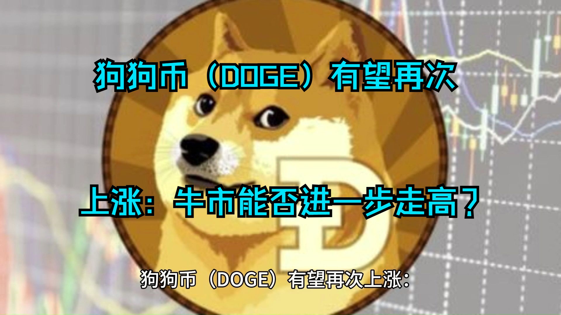 doge狗狗币有前途吗(doge狗狗币有投资价值么)