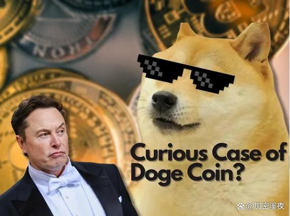 doge币今日行情什么意思(doge币价格今日行情非小号)