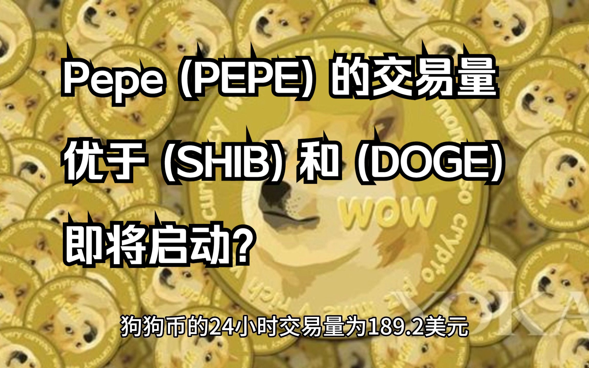 shib币市值与doge市值(doggy币市值)