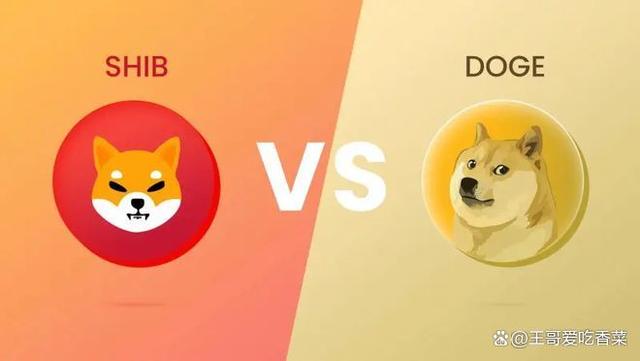 doge币最新价格实时(dogecoin币最新价格)