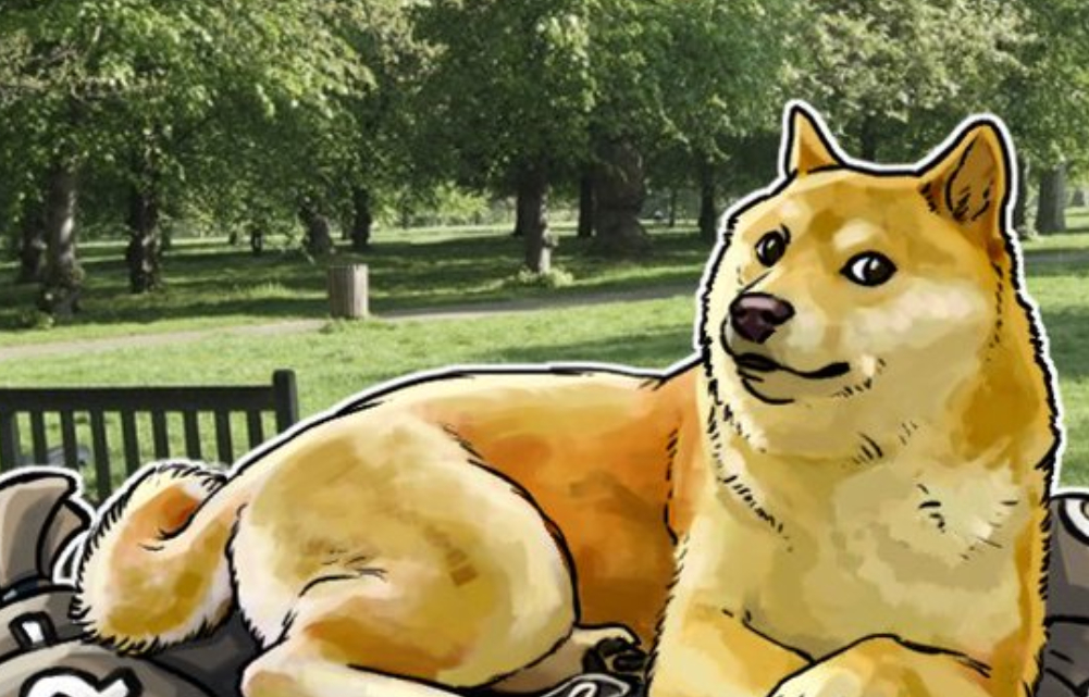 doge币最高什么价格买(doge币历史最高价是多少)