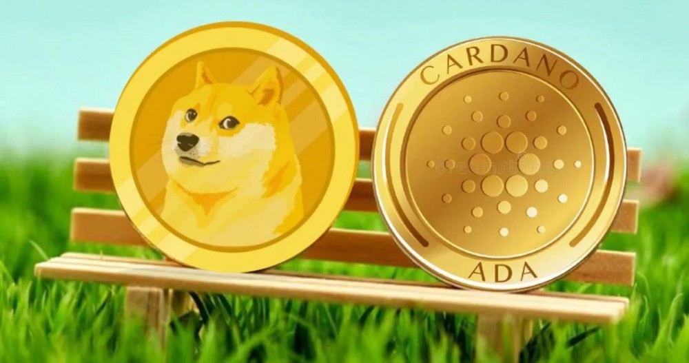 doge币行情币币情(dogemoon币行情)